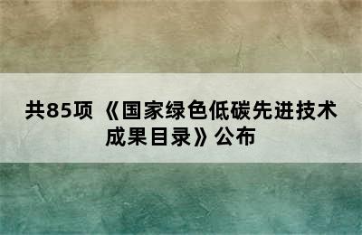 共85项 《国家绿色低碳先进技术成果目录》公布